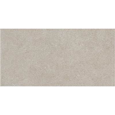 American Olean Concrete Chic Floor Tile - 12X24 in Elegant Gray
