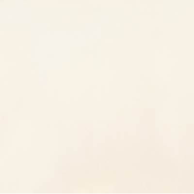 American Olean Clay Canvas Floor Tile - 24x24 in Chalk