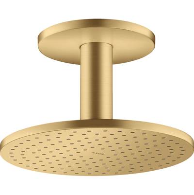 Axor ShowerSolutions Shower Head Ceiling Connection - 2-Jet - 2.5 GPM in Brushed Gold Optic