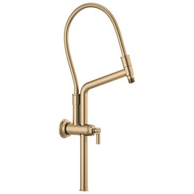 Brizo Universal Showering Classic 10 7/16'' Hand Shower Slide Bar - Shower Arm and Flange in Luxe Gold