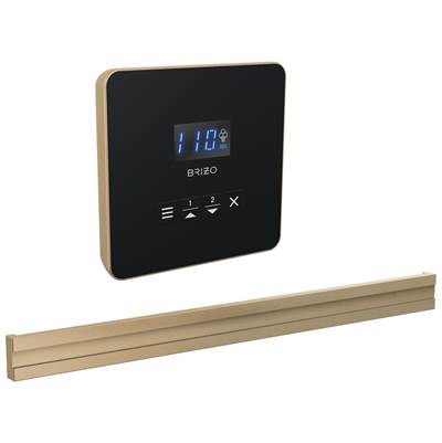 Brizo Square Bilateral Steam Head in Lumicoat Luxe Gold