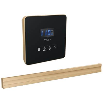 Brizo Square Bilateral Steam Head in Lumicoat Polished Gold