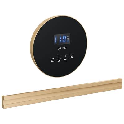 Brizo Round Bilateral Steam Head in Lumicoat Polished Gold