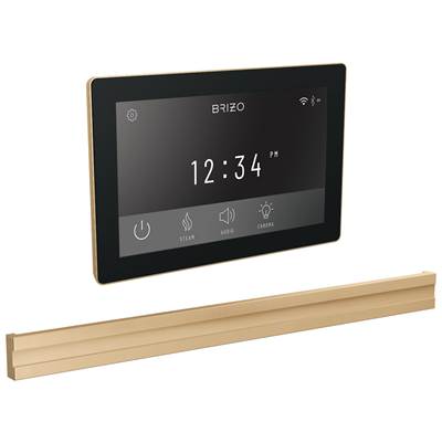 Brizo Digital Bilateral Steam Head in Lumicoat Polished Gold