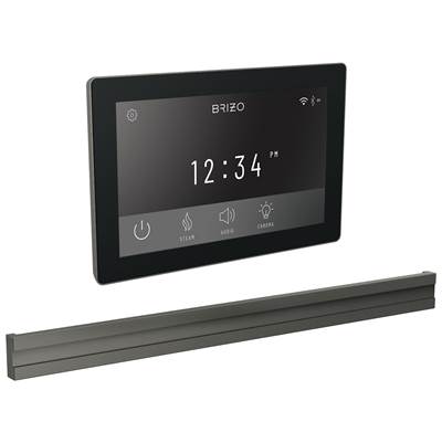 Brizo Digital Bilateral Steam Head in Lumicoat Luxe Steel