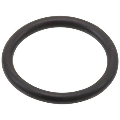 Brizo Other O-rings