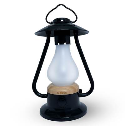 Bulbrite Bonfire Cordless Table Lamp in Black