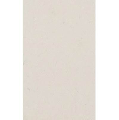 Caesarstone Standard Misty Carrera Slab - 2 cm in Polished Honed Misty Carrera