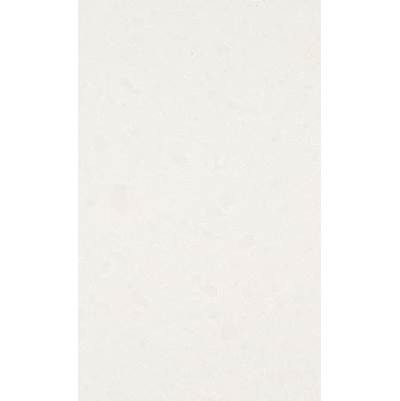 Caesarstone Standard Organic White Slab - 3 cm in Polished Organic White