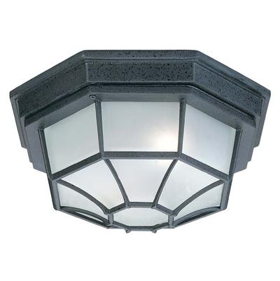 Capital Lighting 2 Light Outdoor Cast Aluminum Ceiling Fixture in Black