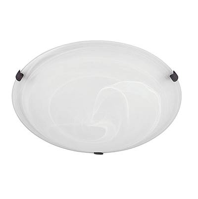 Capital Lighting 2-Light Flush Mount in Multiple Finishes