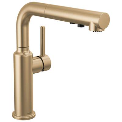 DaneriE Single Handle Pull-Out Kitchen Faucet
