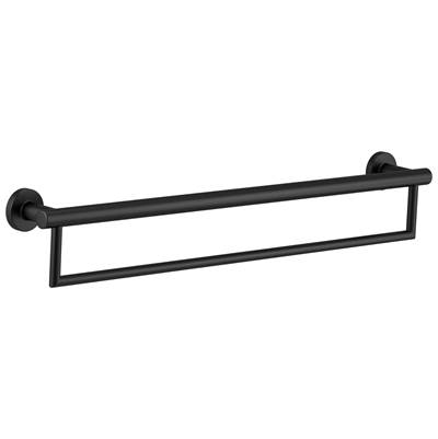 BathSafety 24'' Contemporary Towel Bar with Assist Bar