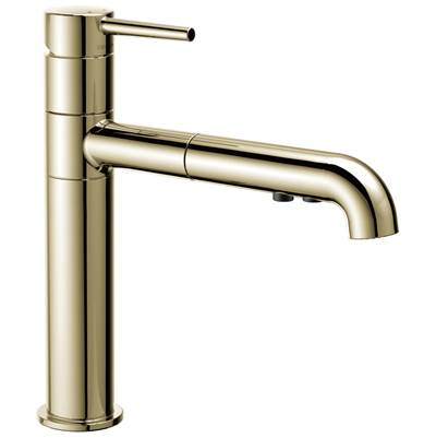 Delta Faucet Trinsic: Single Handle Pull-Out Kitchen Faucet - Polished Nickel