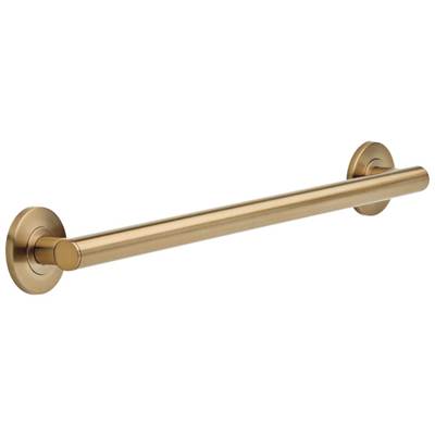 BathSafety 24'' Contemporary Decorative ADA Grab Bar