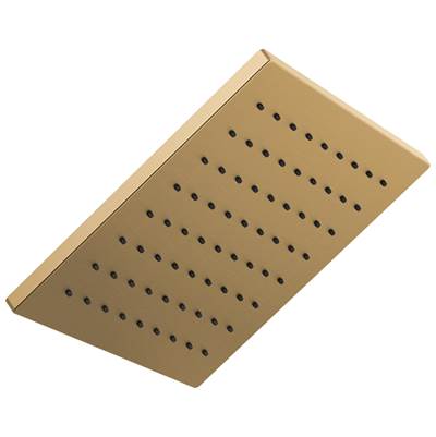 Delta Faucet Universal Showering Components Single-Setting Metal Raincan Shower Head - Lumicoat Champagne Bronze