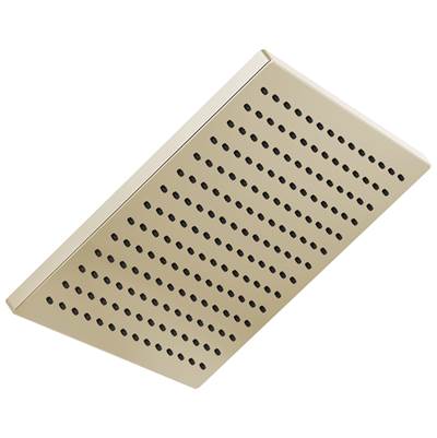 Delta Faucet Universal Showering Components Single-Setting Metal Raincan Shower Head - Lumicoat Polished Nickel