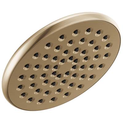 Delta Faucet Universal Showering Components Single-Setting Raincan Shower Head - Champagne Bronze