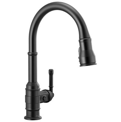 BroderickE Single Handle Pull-Down Kitchen Faucet