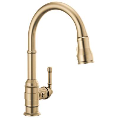 BroderickE Single Handle Pull-Down Kitchen Faucet