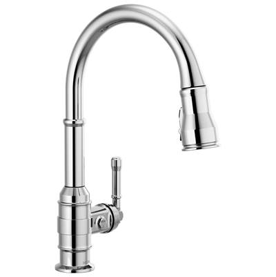 BroderickE Single Handle Pull-Down Kitchen Faucet