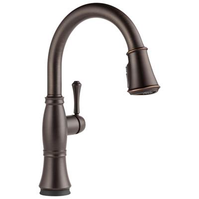 CassidyE Single Handle Pull-Down Kitchen Faucet with Touch<sub>2</sub>O and ShieldSpray Technologies
