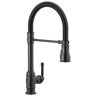 BroderickE Single Handle Pull-Down Kitchen Faucet With Spring Spout