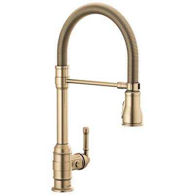 BroderickE Single Handle Pull-Down Kitchen Faucet With Spring Spout
