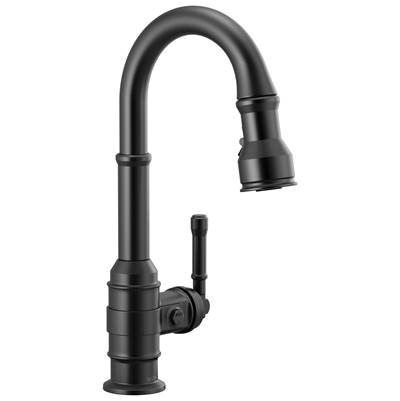 BroderickE Single Handle Pull-Down Bar/Prep Faucet