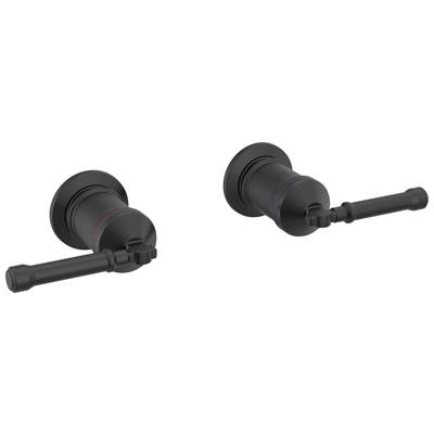 BroderickE Wall Mount Tub Filler Handle Kit-Lever