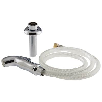 Other Side Spray & Hose Assembly - Chrome