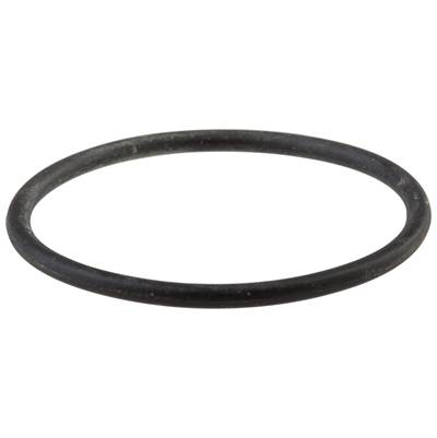 Palo O-Ring - Pull-Out