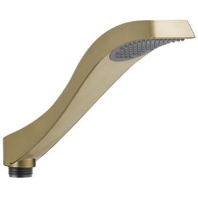 DrydenE Hand Shower - Roman Tub - Champagne Bronze