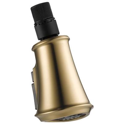 CassidyE Wand Assembly