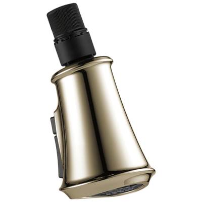 CassidyE Wand Assembly