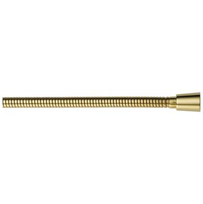 Delta Faucet Universal | 60" - Polished Brass
