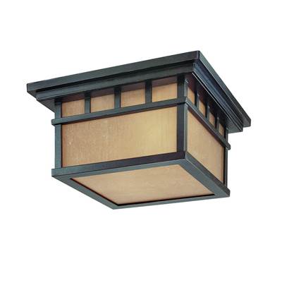 Dolan Design Barton 2 Light Outdoor Ceiling Fixture in Winchester