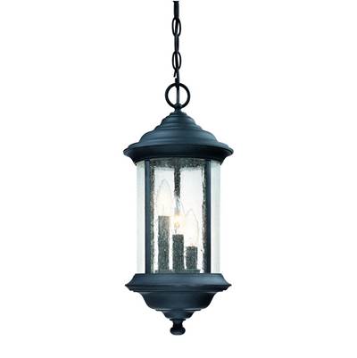 Dolan Design Walnut Grove 3 Light Outdoor Pendant in Black