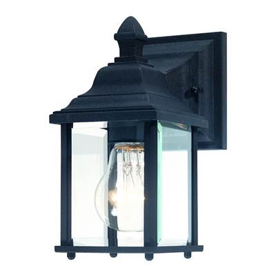 Dolan Design Charleston 1-Light Wall Lantern in Black
