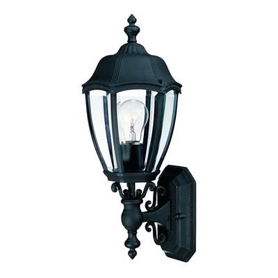 Dolan Design Roseville 1-Light Wall Lantern in Black