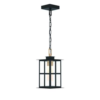 Eurofase Greyson Outdoor Pendant - 16'' - Clear Glass in Brass Black Mix
