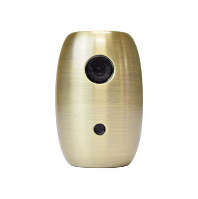 Fanimation Ceiling Fan Downrod Coupler in Antique Brass