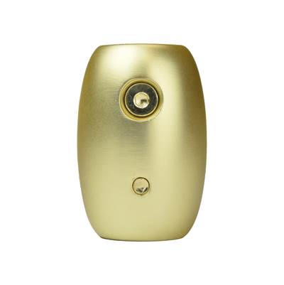 Fanimation Ceiling Fan Downrod Coupler in Brushed Satin Brass