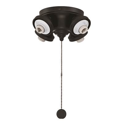 Fanimation Four Light Fitter in Black