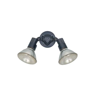 Generation Lighting Two Light Adjustable Swivel Flood Light in Black