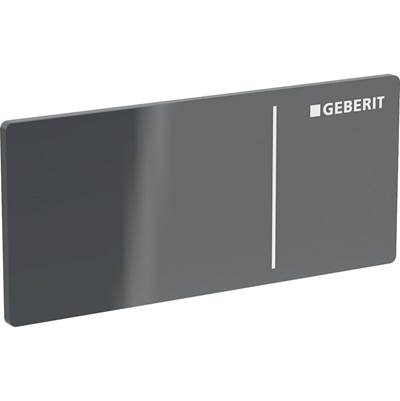 Geberit Type 70 Flush Actuator Plate - Remote in Lava