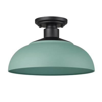 Golden Lighting Levitt 1 Light Outdoor Ceiling Fixture in Natural Black and Natural Teal