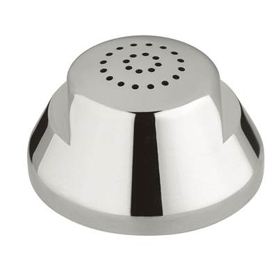 Grohe Repair Parts Rim Spray in Chrome