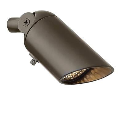 Hinkley Lighting Accent MR16 Spot Down Light in Bronze