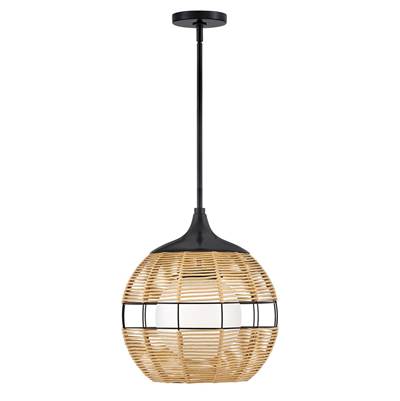 Hinkley Lighting Maddox Medium Orb Pendant in Black